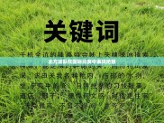 北方球队在国际比赛中表现抢眼